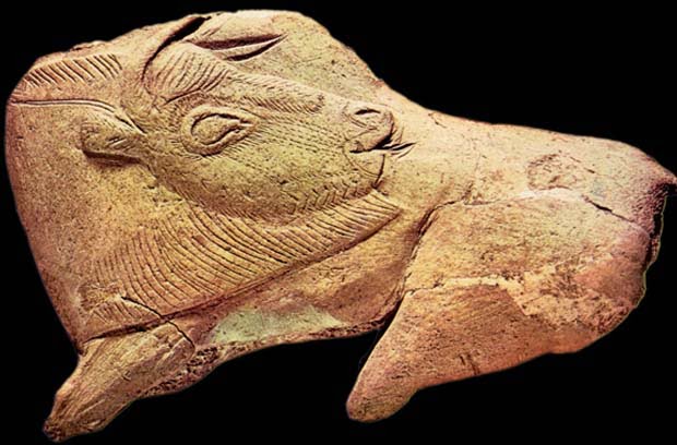 Figura tallada - Paleolitico