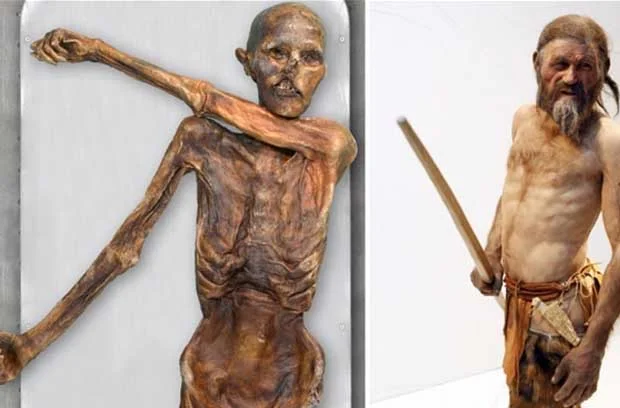 ötzi - La momia del Hombre de hielo