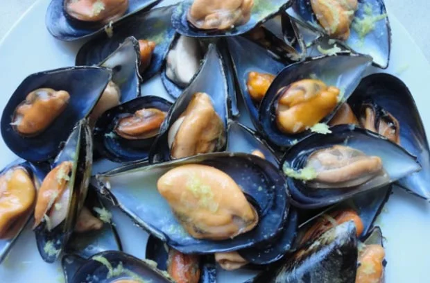 Curiosidades Mejillones